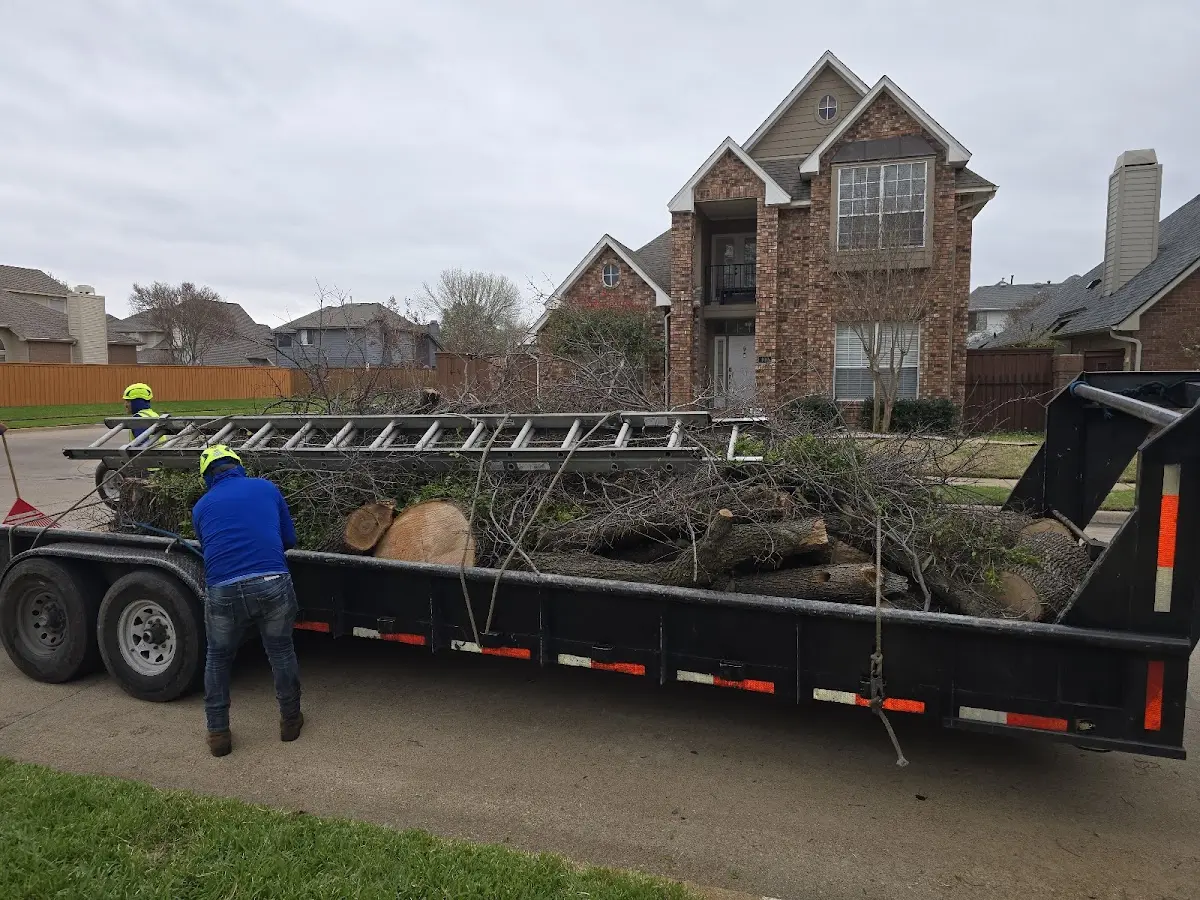 Expert Tree Removal with proper safety equipment in Booneville